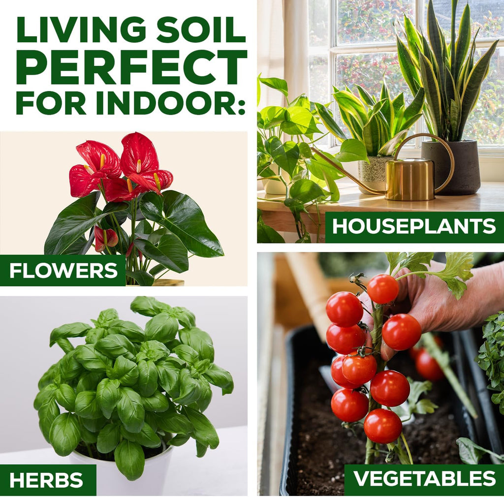 Organic Potting Soil for Indoor Plants, Living Soil, Ready to Use, 3 LB | Boost House Plant Growth for Monstera, Fiddle