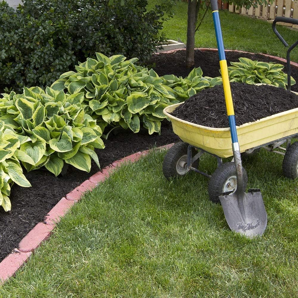 Fantastic Deal - 12 Bare Roots Hosta Plants - Mixed Heart-Shaped Hosta - Rich Green Foliage, Low Maintenance, Heart