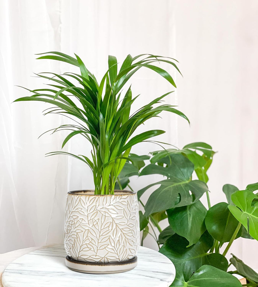 D'vine Dev 2-Pack Embossed Leaves Planter, 6 in, Smoked White, 27-F-X-1 | Nature-Inspired Leaf Pattern, Handcrafted