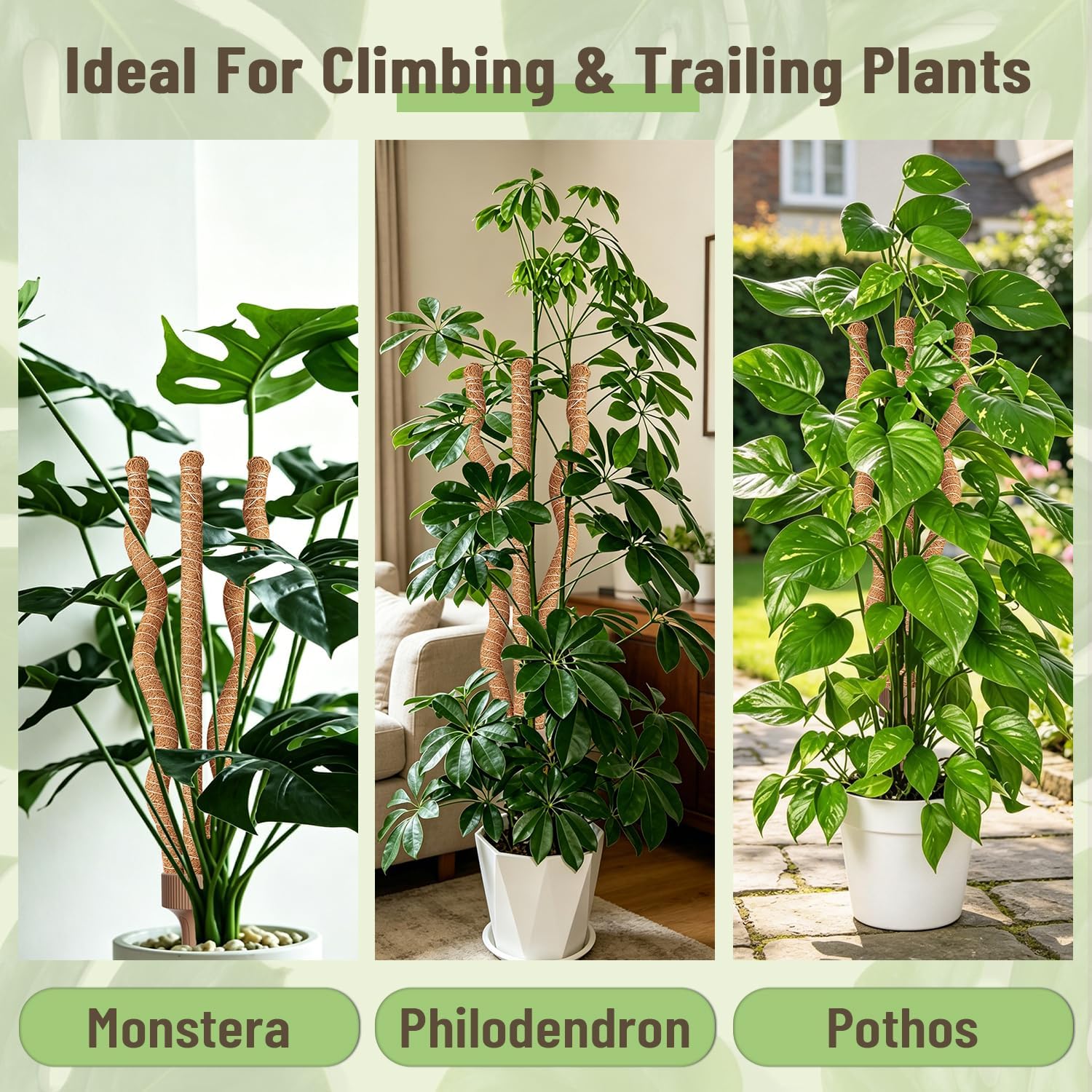 3-in-1 Moss Pole, Bendable 30IN Monstera Plant Support for Indoor-2 Pack | 3 Integrated Moss Poles for Climbing Plants