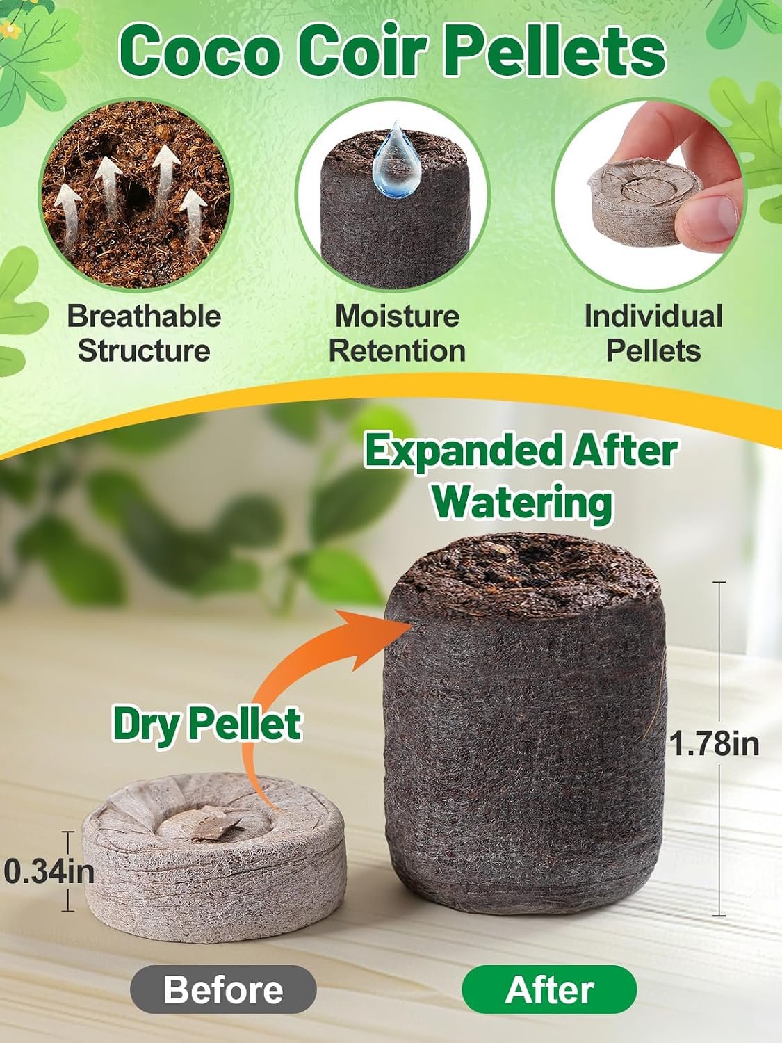 Apipi 5 Pack Seed Starter Kit with 60 Coco Coir Pellets | 60 Cell Seed Starter Trays with Domes, for Indoor Greenhouse