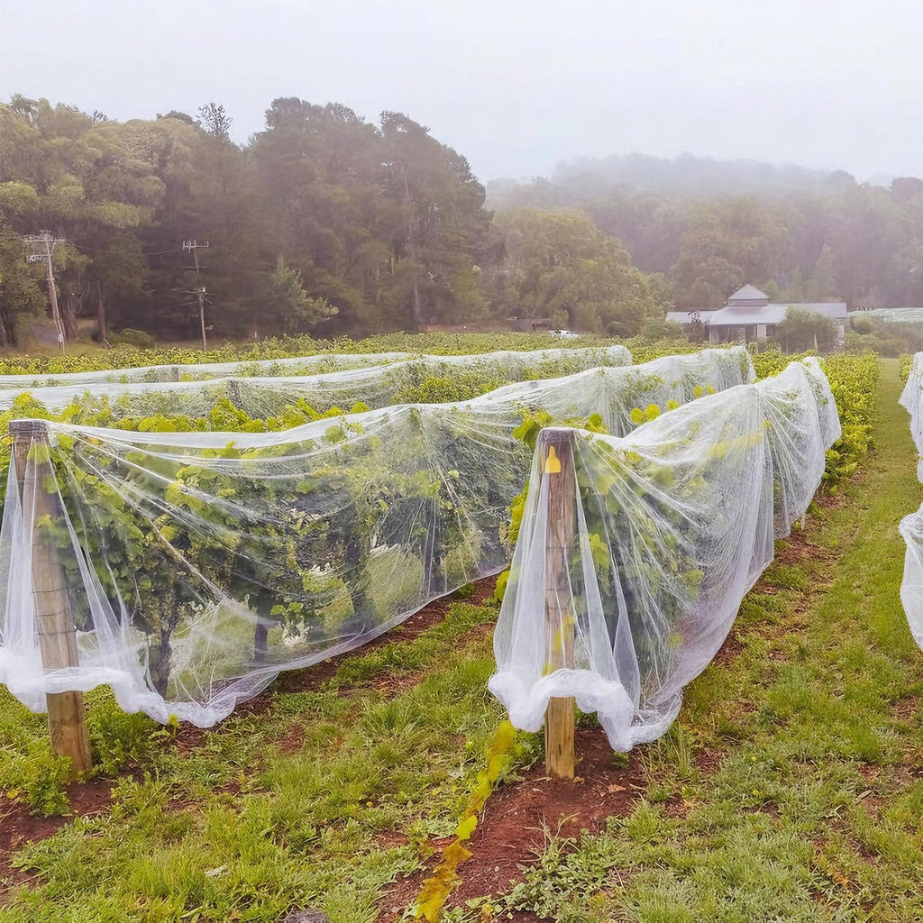 1 Pcs Garden Insect Netting Mesh, White Ultra Fine, 15 X 50 Ft | Pest Barrier for Vegetables, Large Fruits Tree Net