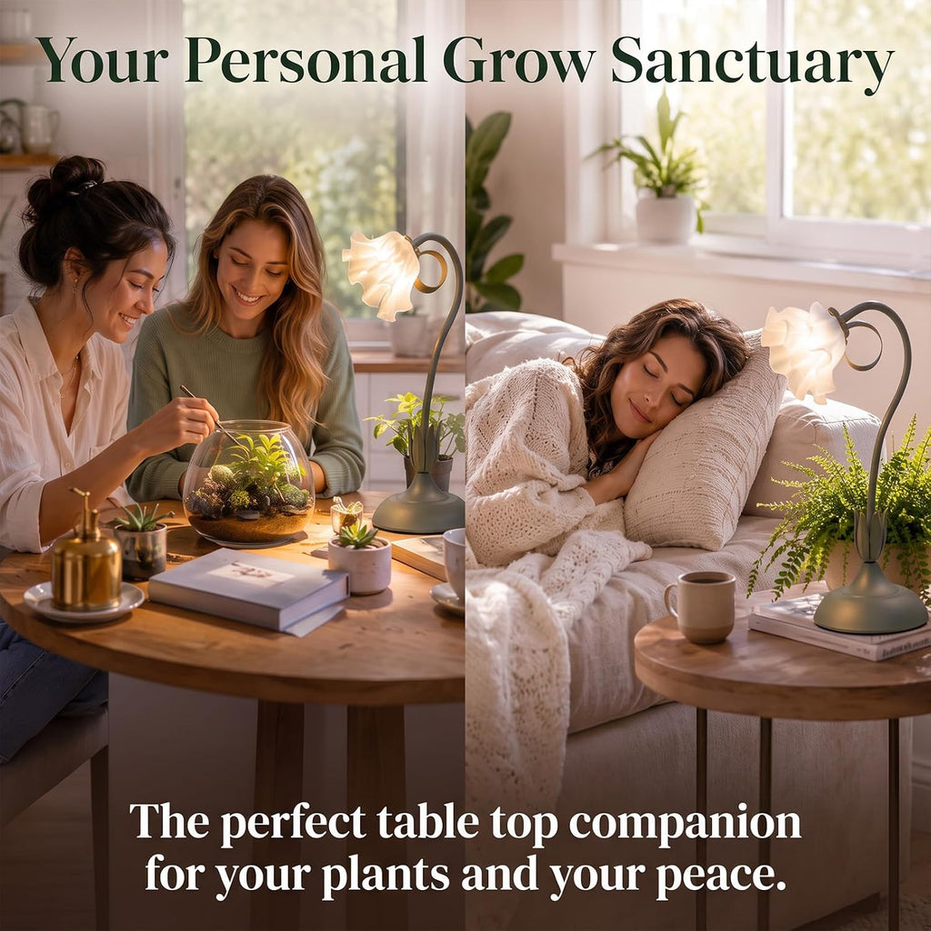 Table Top Grow Light for Indoor Plants – Decorative Desk Plant Light for Succulents Bonsai Cactus, Adjustable Desktop