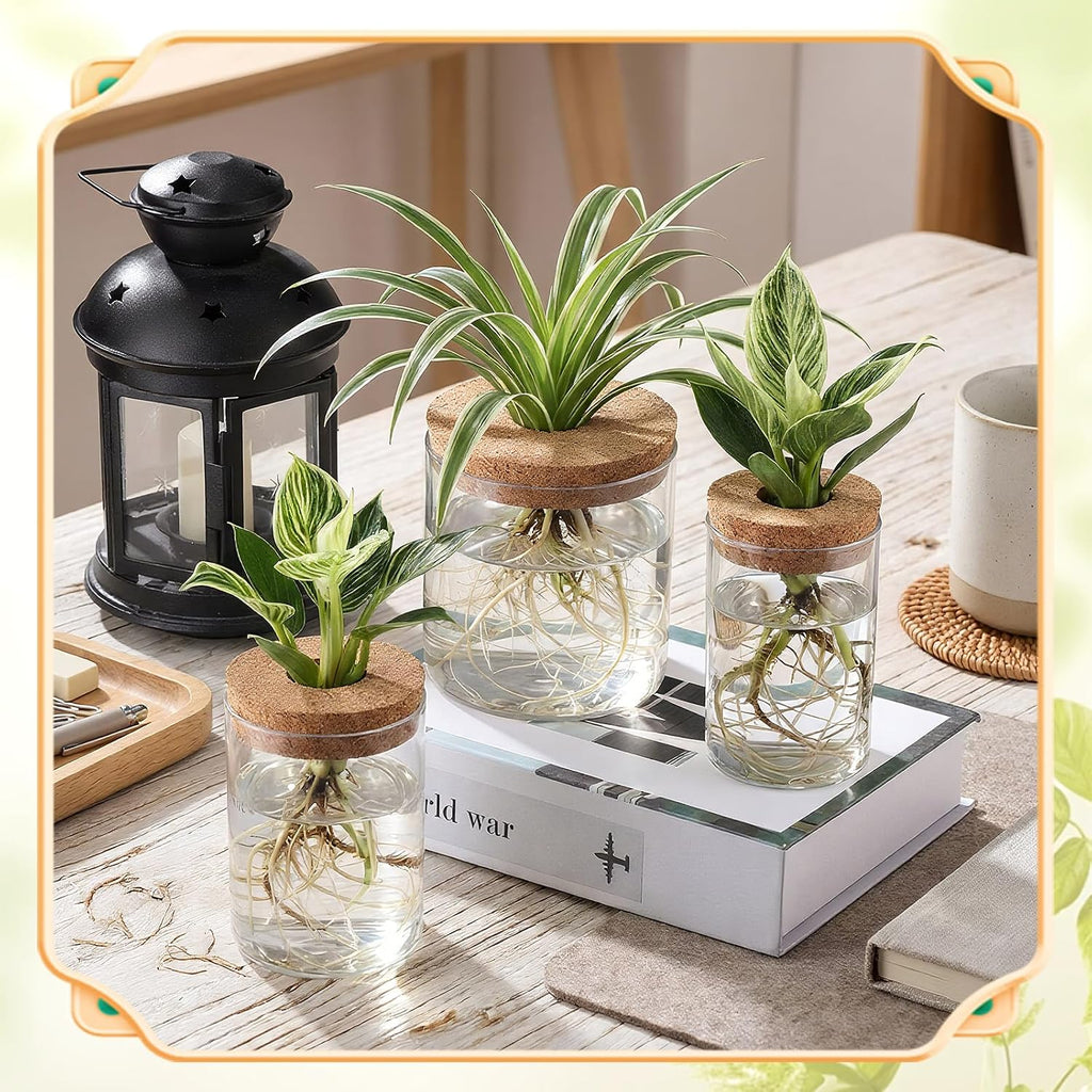12 Pack Plant Propagation Station with Hole Lid Plant Propagation Jars Plants Plastic Propagations Stations Planter
