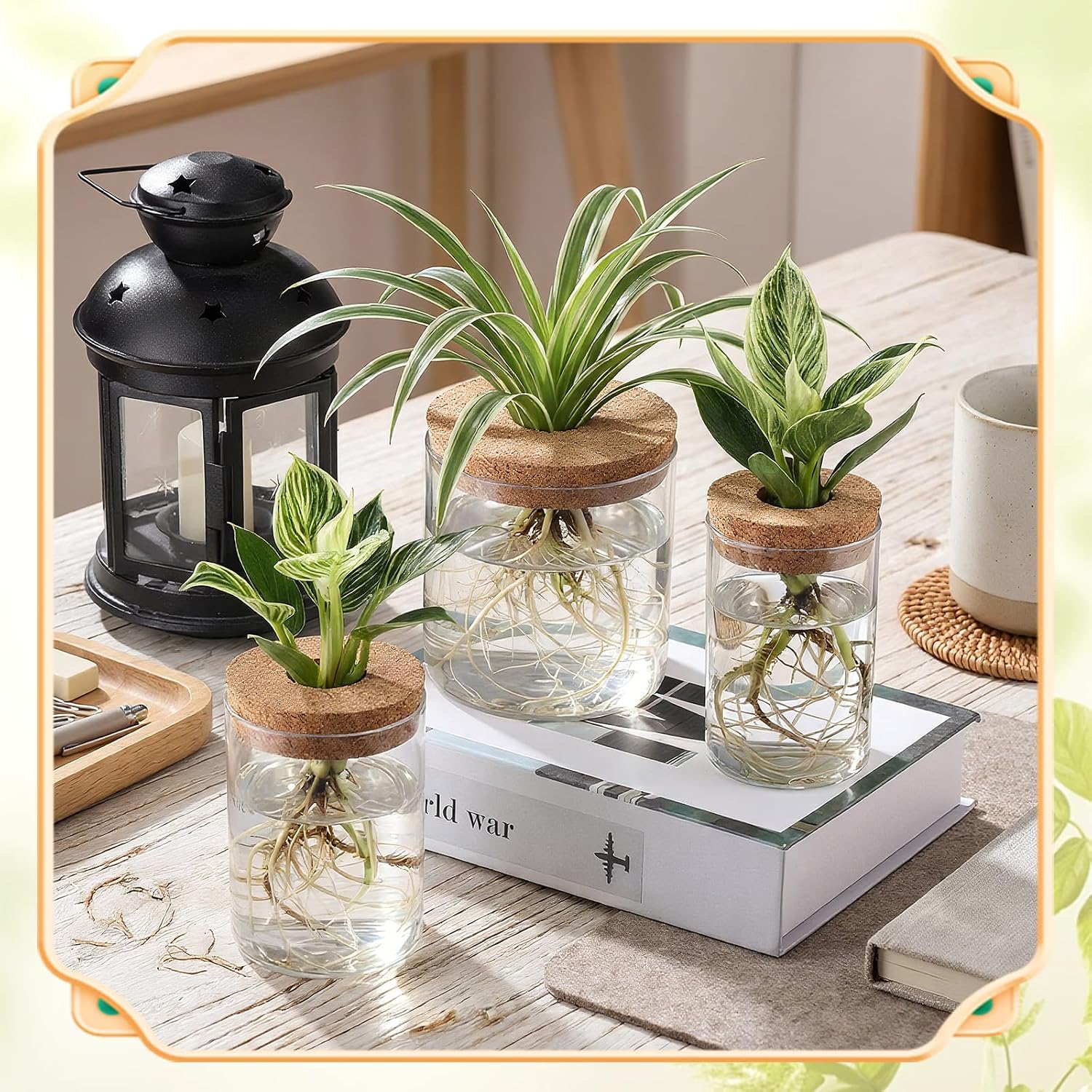 12 Pack Plant Propagation Station with Hole Lid Plant Propagation Jars Plants Plastic Propagations Stations Planter