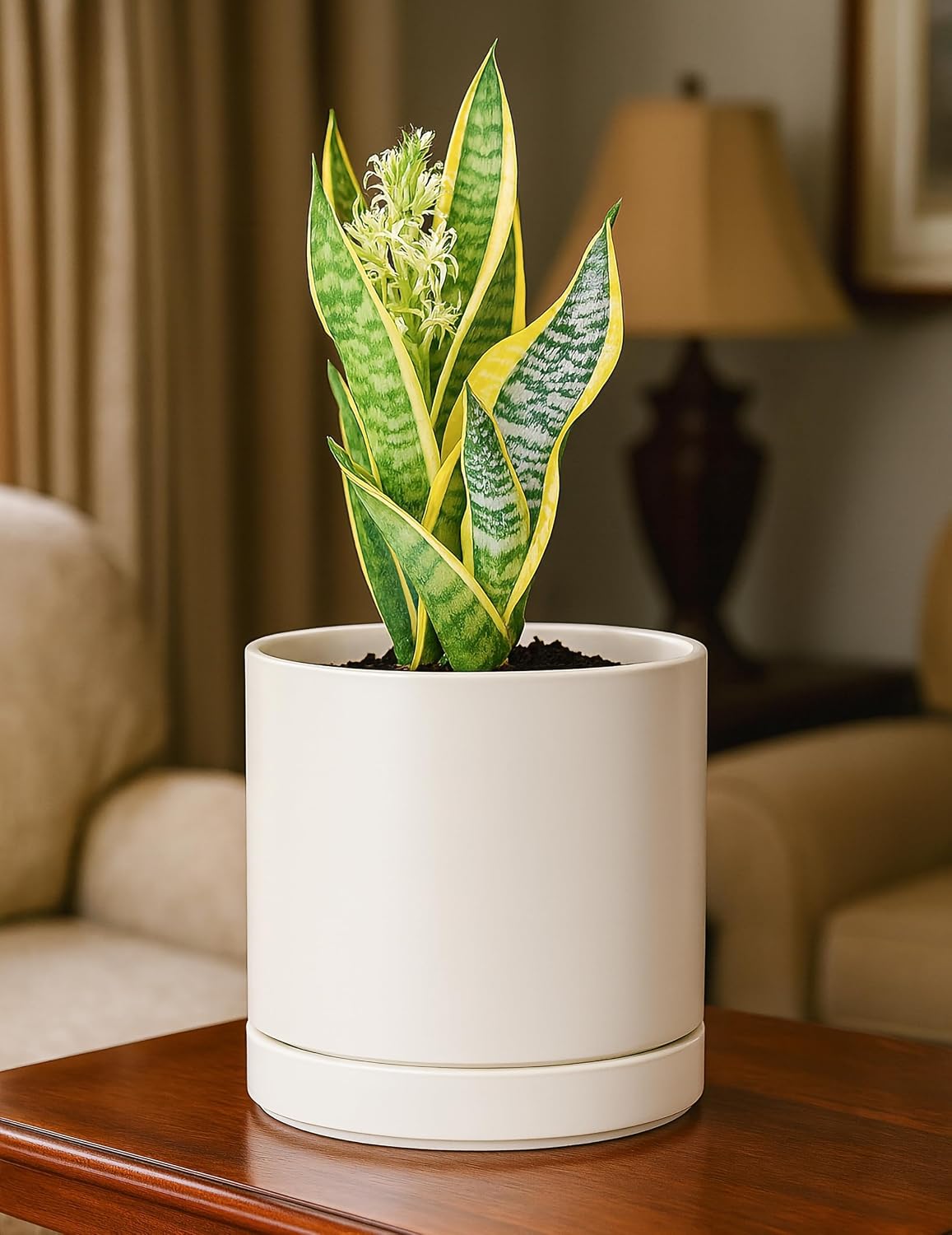D'vine Dev 6.5 Inch Ceramic Planter Pot, Oatmeal, 94-O-C-8 | Modern Cylinder Design, Drainage Hole & Saucer Included