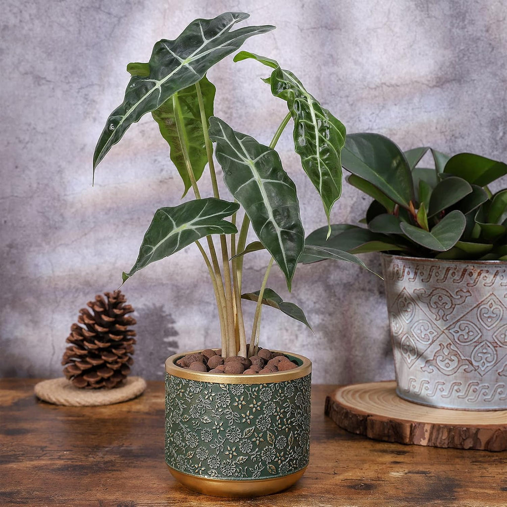 6 +4.4 Inch Cement Planter Decorative Pots with Drainage Hole for All House Plants, Succulents, Flowers, and Cactus