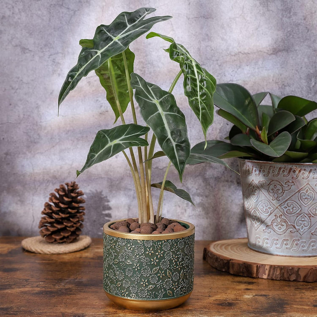 6 +4.4 Inch Cement Planter Decorative Pots with Drainage Hole for All House Plants, Succulents, Flowers, and Cactus