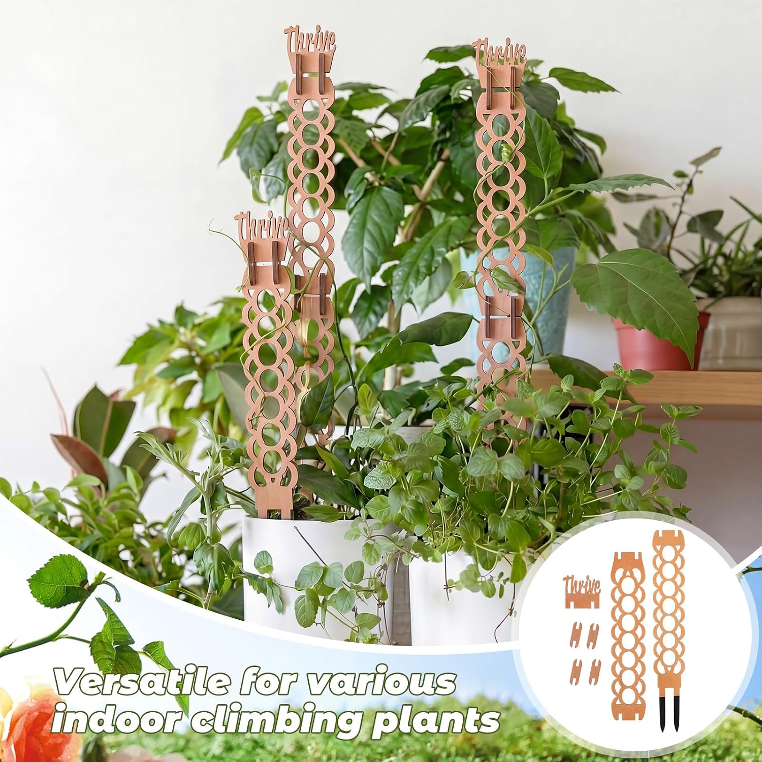 6 Sets Wooden Extendable Plants Trellis Indoor Modular Plant Trellis with Wood Thrive Sign Decor and Extensions for