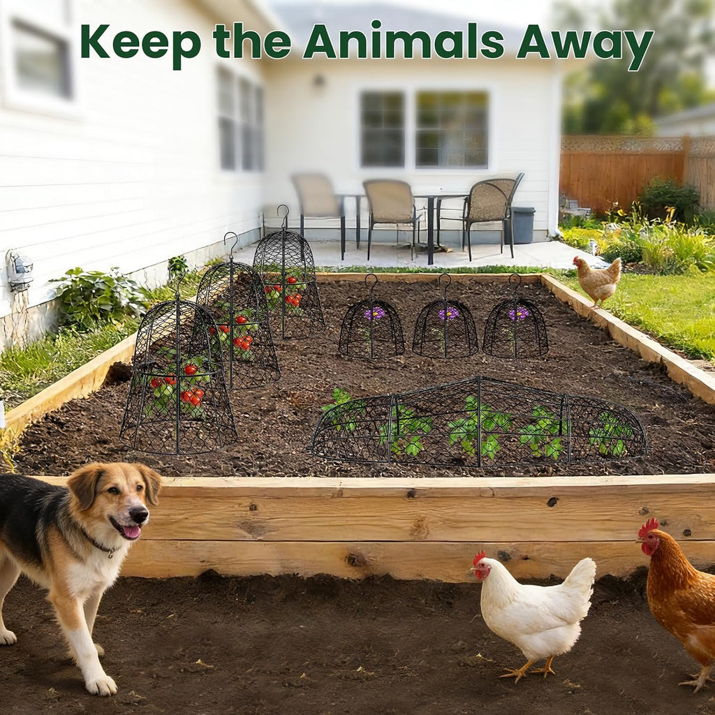 6 Pack Garden Cloche Plant Protectors from Animals, 13" x 11.8" Heavy Duty Chicken Wire Cloche, Adjustable Metal Wire