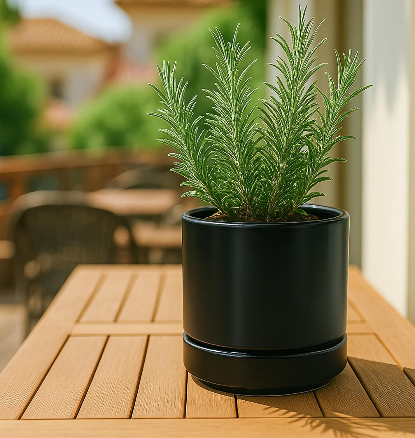 D'vine Dev 2-Pack Ceramic Pots & Saucers, Black, 3.5/4.7 in, 94-G-XS-2 | Glazed Ceramic, Drainage Hole, Perfect-Fit