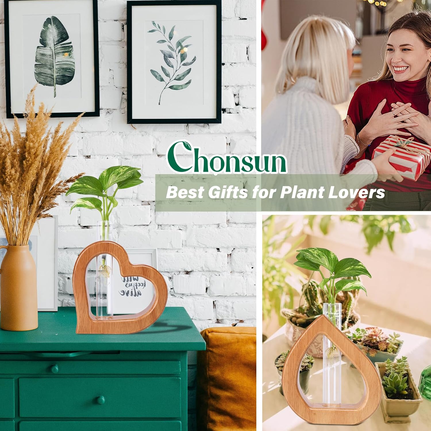 Plant Propagation Stations 2 PCS Wall Hanging Planters | Wall hanging Glass Tubes Terrarium Plants for Indoor Plant