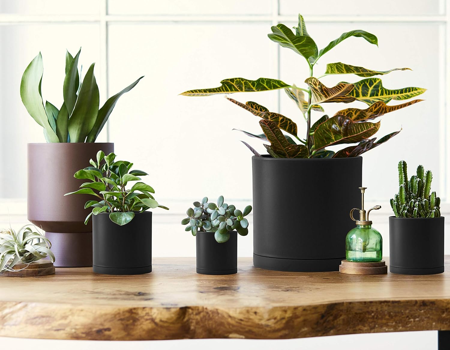 D'vine Dev 10-Pack Plastic Pots with Saucers, 2-6.5 in, Black, 74-S-B | Multi-Size Planting Solution, Lightweight