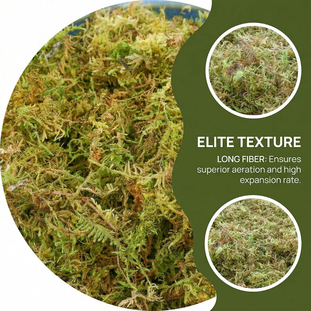2.5 LB Sphagnum Moss for Plants, Long Fiber Orchid Moss for Carnivorous Plants, Terrariums and Indoor Potting