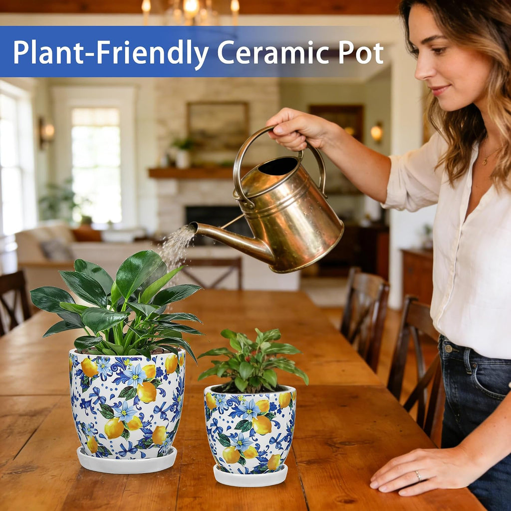 5.3+4.3 inch Ceramic Plant Pots, Set of 2 Blue and White Plant Pot with Drainage Holes and Saucers Small Lemon Indoor