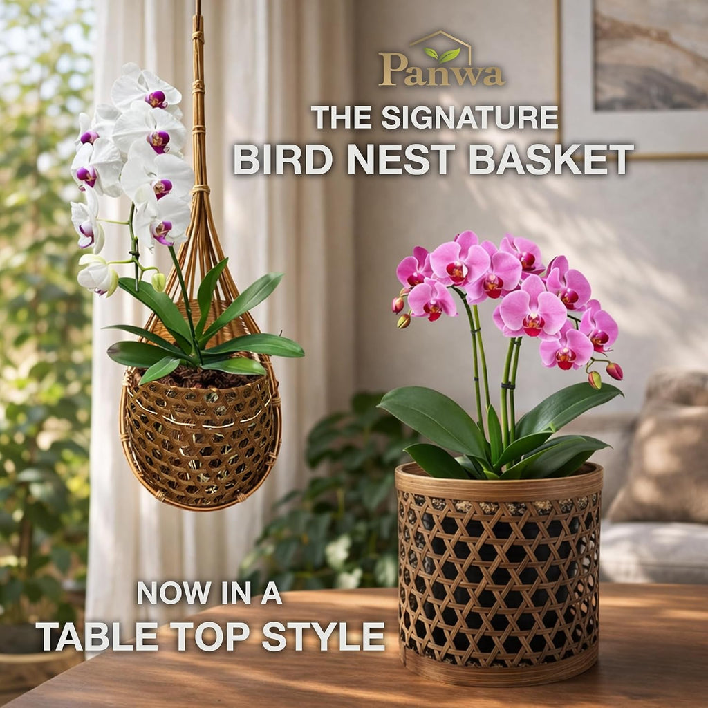 Handcrafted Bamboo Tabletop Decorative Plant Pot Covers - Multi Set of 3 – for Indoor Plants, Orchids, Succulents –