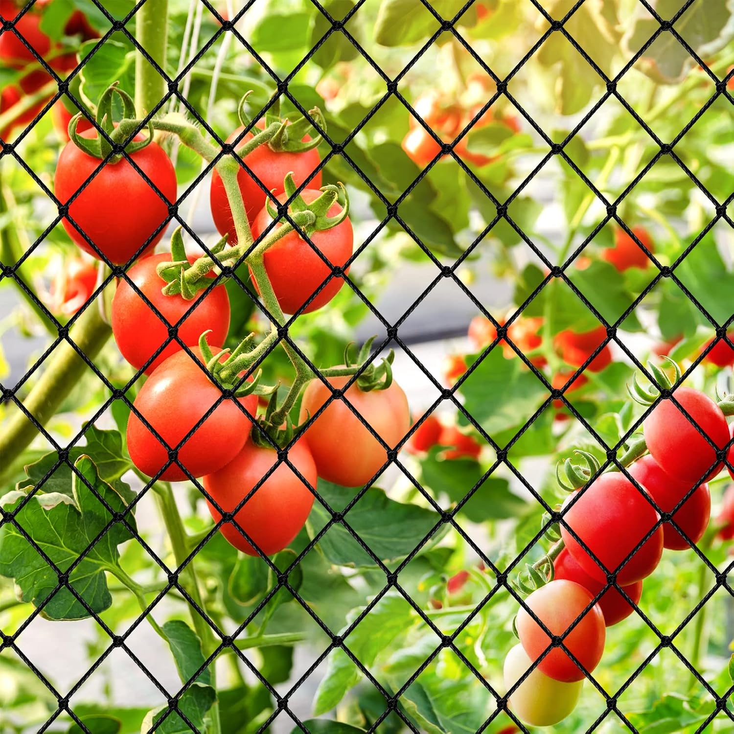 Bird Netting 25'x100' Heavy Duty Nylon Net with 2" Mesh, Garden Netting | Poultry Netting for Chicken Coop Roof, Aviary