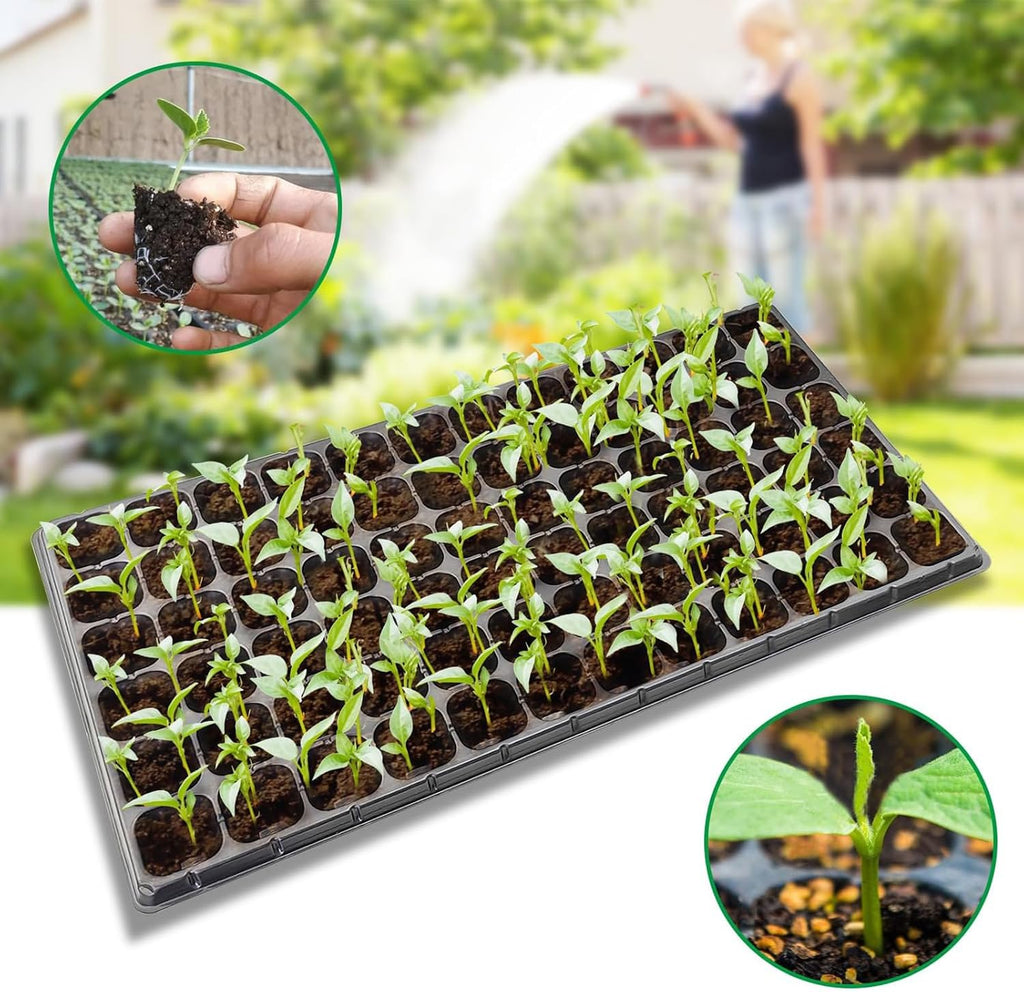 Seed Starter Kit 10 Pack-72 Cell Seedling Trays Gardening Germination | Plastic Nursery Pots Mini Plant Plug Starting