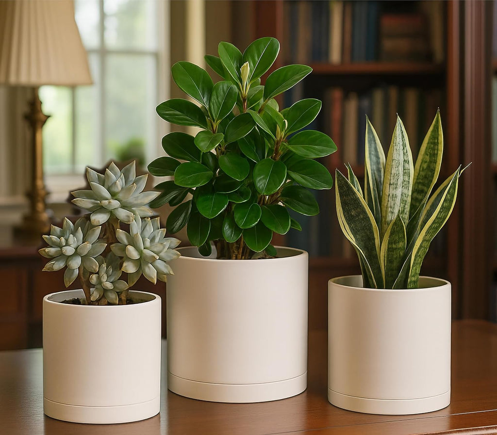 D'vine Dev 3-Pack Plastic Pots & Saucers, 6/6.5/8 in, Oatmeal, 74-V-H-3 | Multi-Size Options, Lightweight Durable