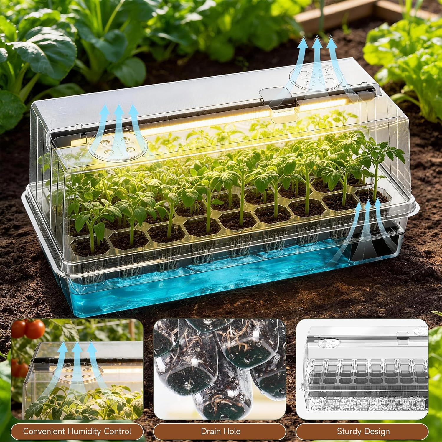 72 Cells Seed Starter Tray Self Watering, Seed Starter Kit with Grow Light, Full Spectrum with 5 Dimmable Brightness &
