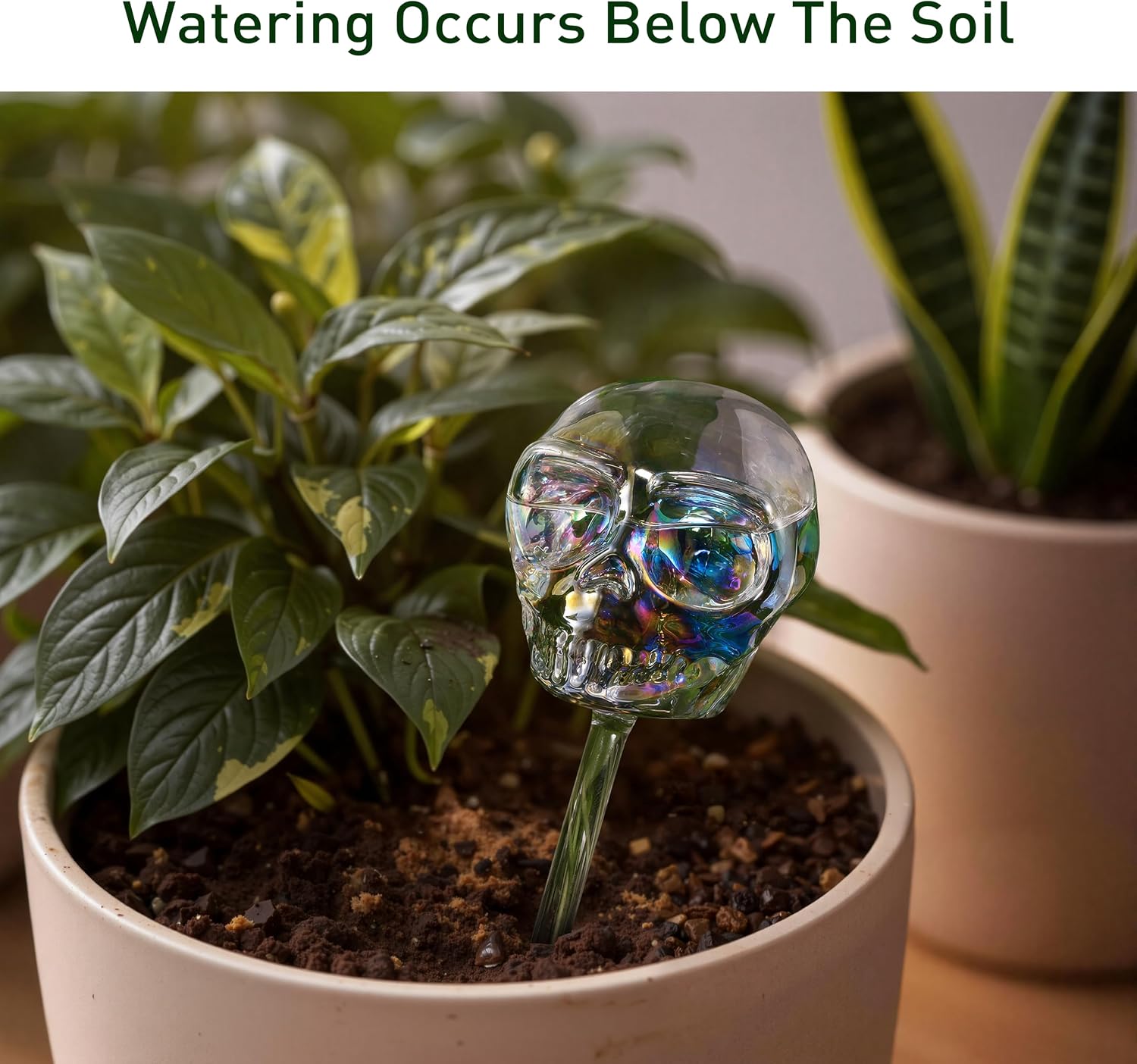 Soilagua 10 oz Smiling Cute Skull Glass Plant Watering Globes, Halloween Goth Iridescent Clear Water Bulbs, Gothic