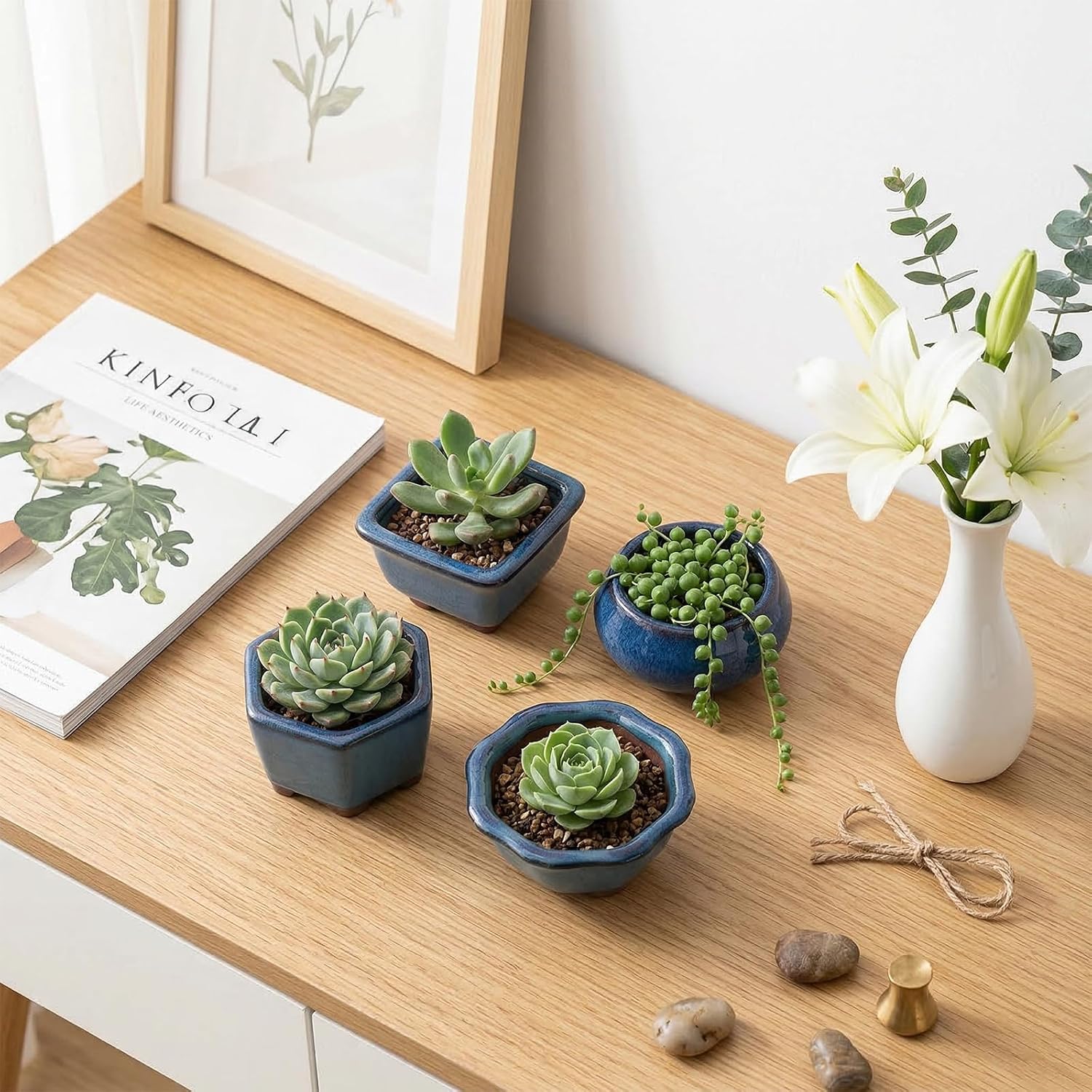 6 Pack Bonsai Pot Planter, 3" 4" Ceramic Glazed Succulent Pots | Small Succulent Planters with Drainage, Training Pot