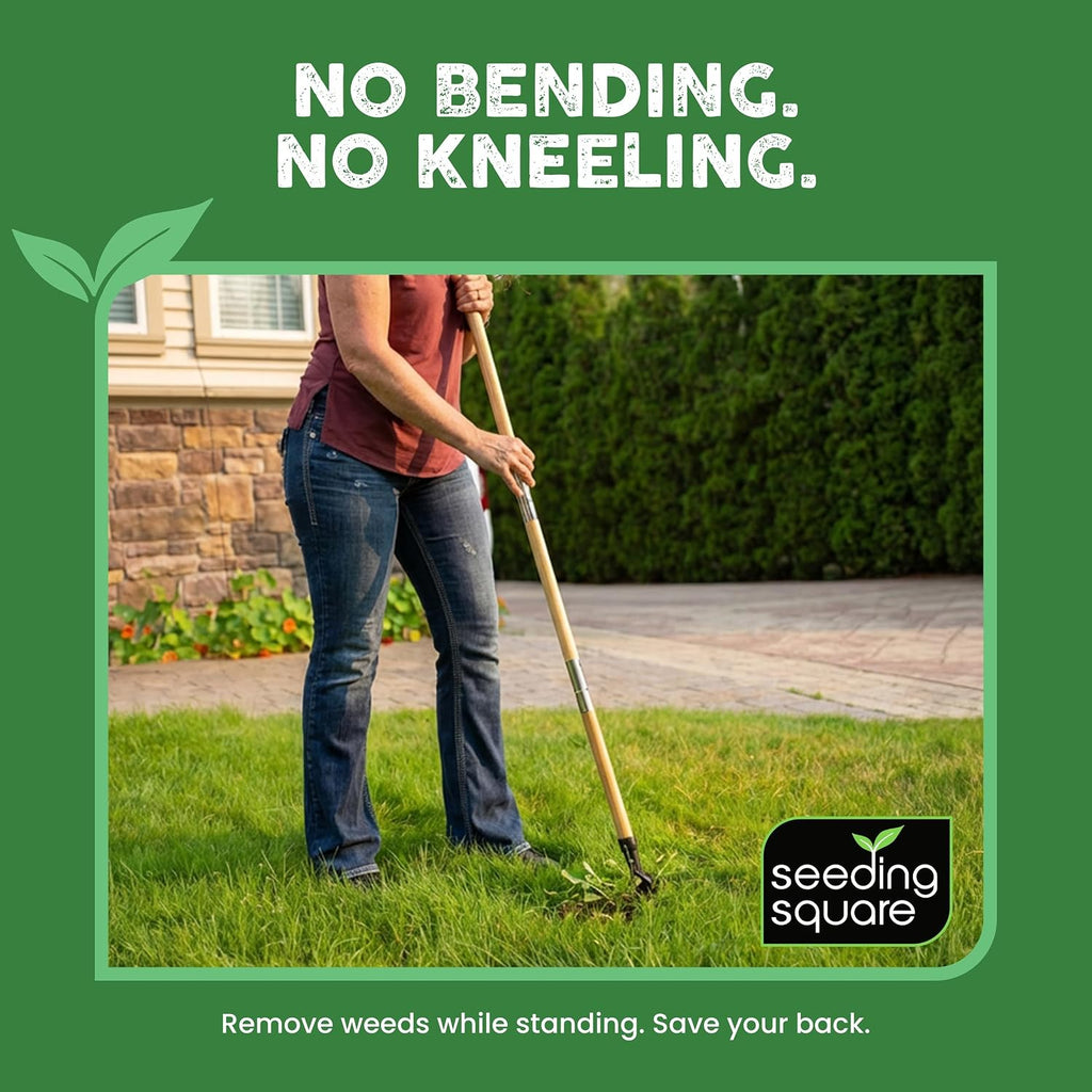 Stand-Up Weed Puller Tool with Long Handle for Dandelions and Garden Weeds. | Carbon Steel Head | Bamboo Shaft