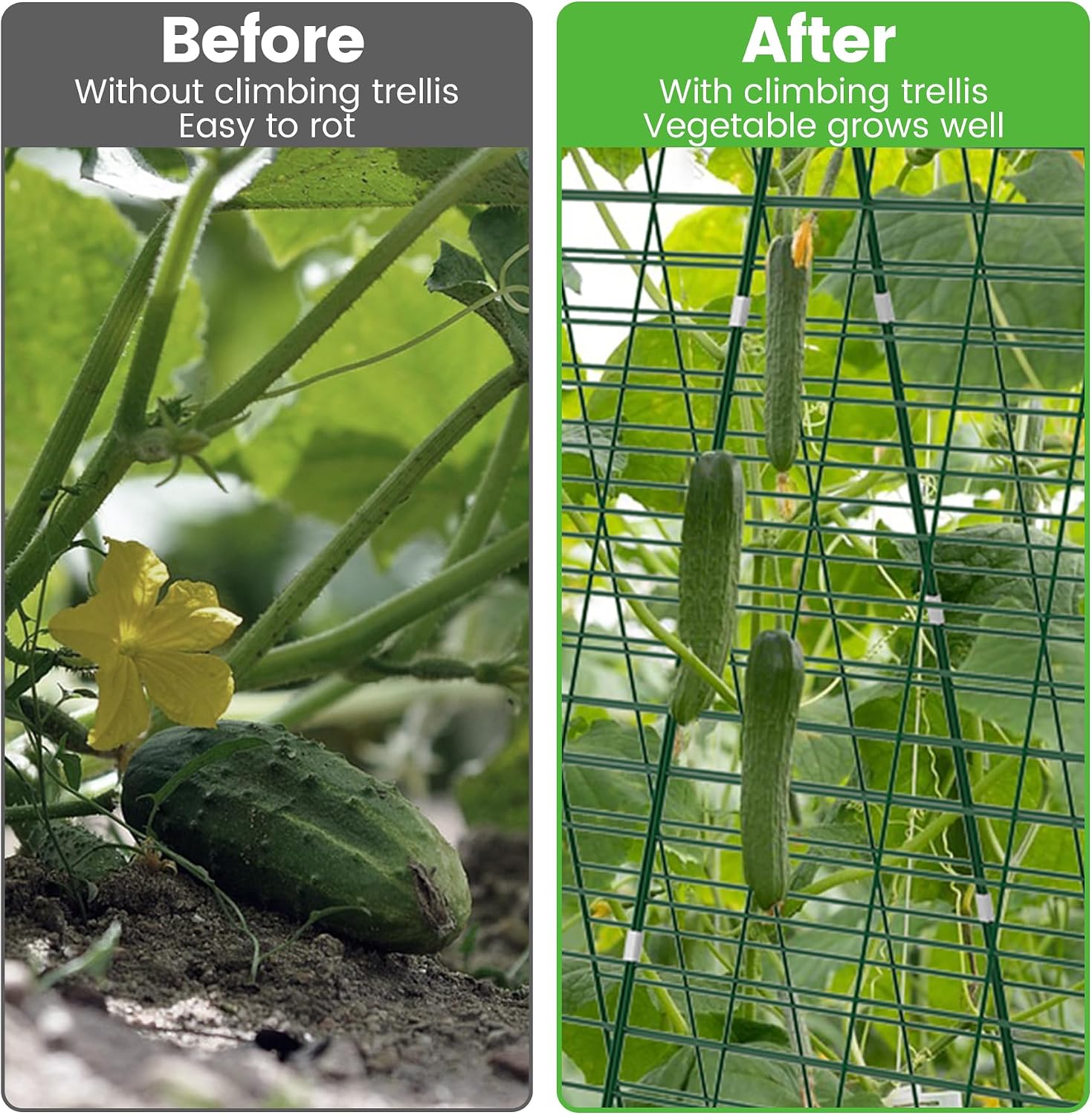Foldable Cucumber Trellis 48" L x 34" W | A-Frame Trellis, Climbing Plants Support Raised Bed Trellis with Twist Ties &