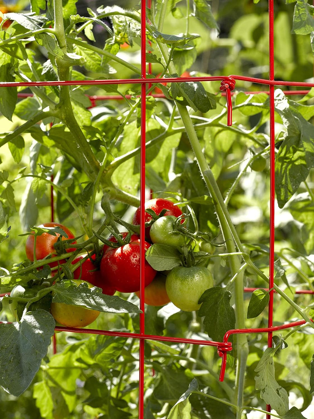 Gardener's Supply Company Lifetime Tomato Cages, Green, Set of 4