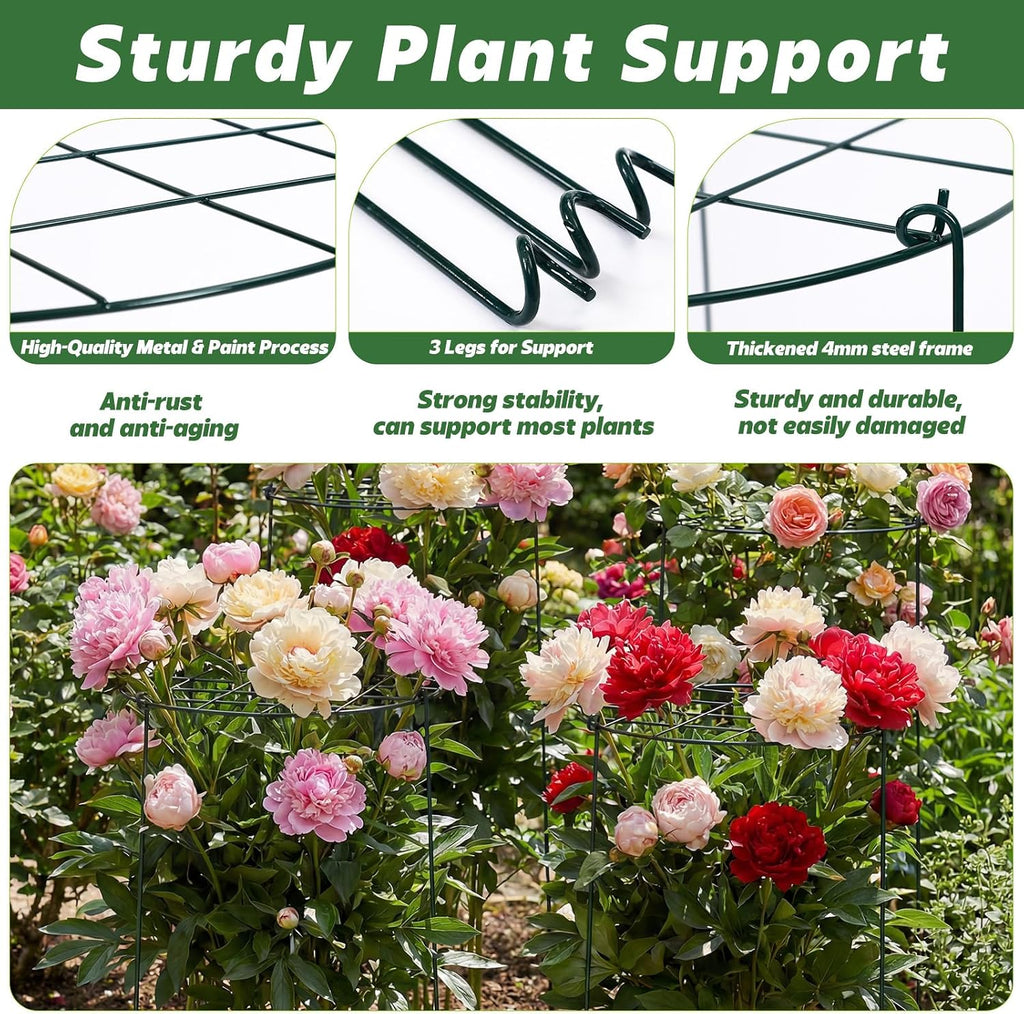 4 Pack Round Peony Cages and Supports 20 x 30 Inches (D x H) Grow Through Grid Plant Brace Plant Support Stake Heavy