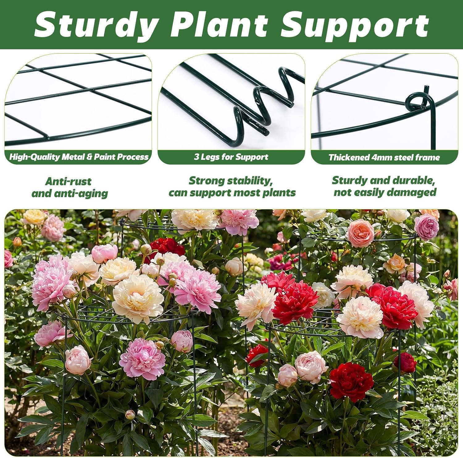 4 Pack Round Peony Cages and Supports 20 x 30 Inches (D x H) Grow Through Grid Plant Brace Plant Support Stake Heavy