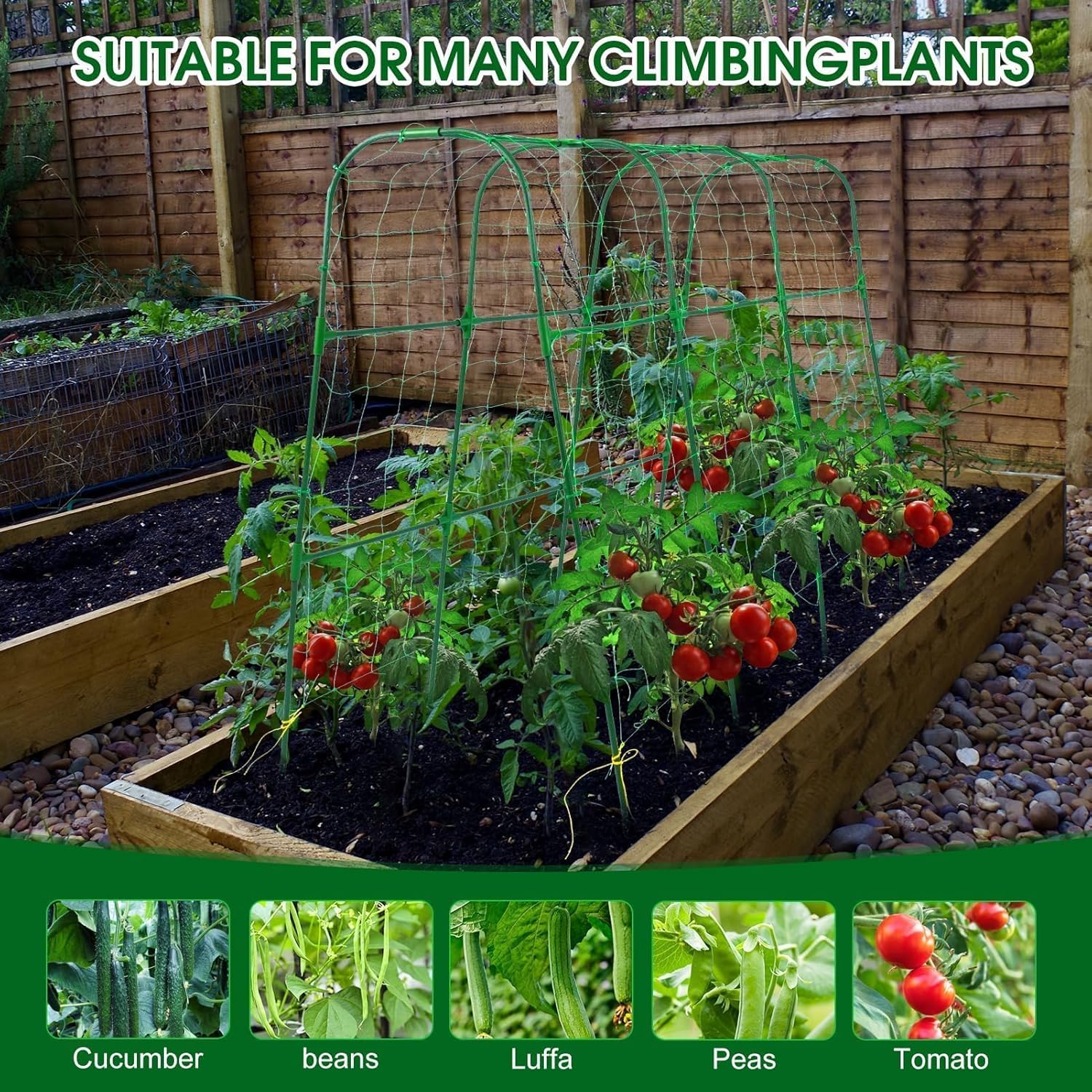 50"x48"Cucumber Trellis, Garden Arch Trellis for Climbing Plants Outdoor | Rustproof Metal Plant Support Vegetable Vine