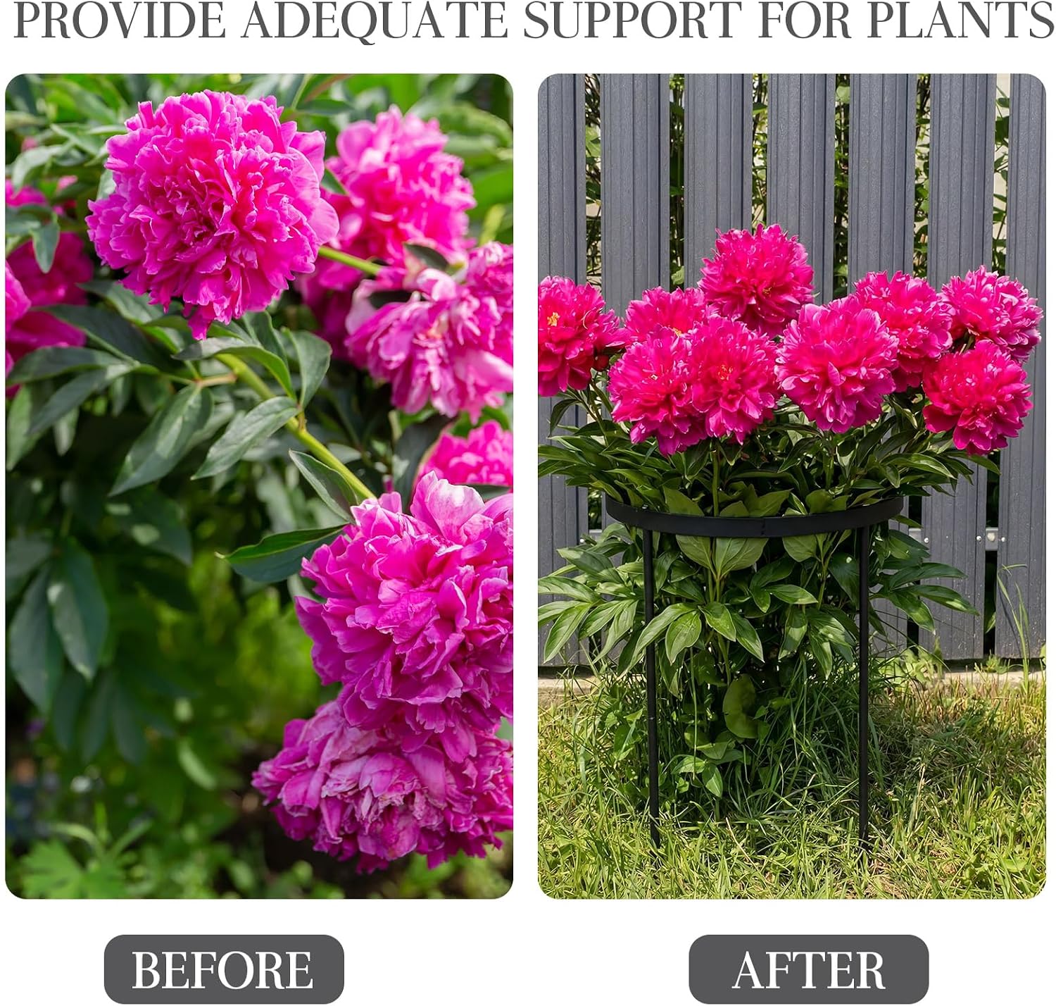 2 Pack 18.9" x 23.6" Large Peony Cage and Support Durable Round Plant Support Ring Tall Plant Cage for Outdoor Peony