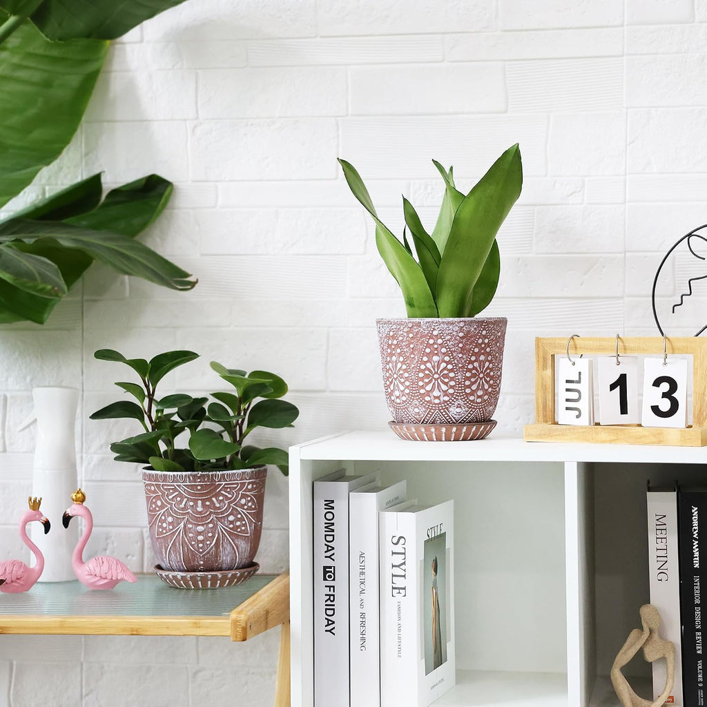 Gepege Ceramic Plant Pots, 6 Inch Indoor Planters with Drainage & Saucers | Ceramic pots for plants with drainage