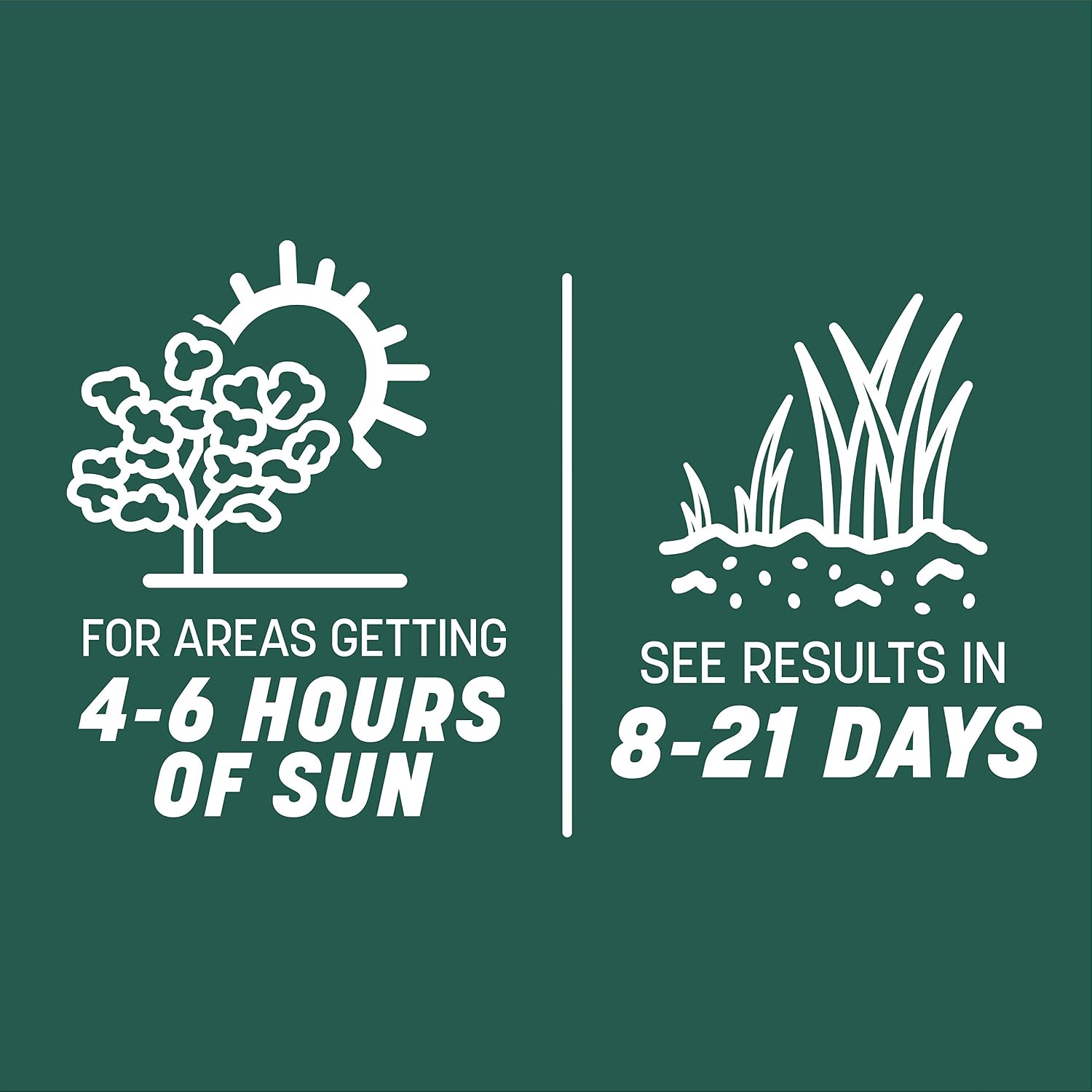 Pennington Smart Seed Sun & Shade Mix South, Tall Fescue Grass Seeds for Lawn, 4/7 lb