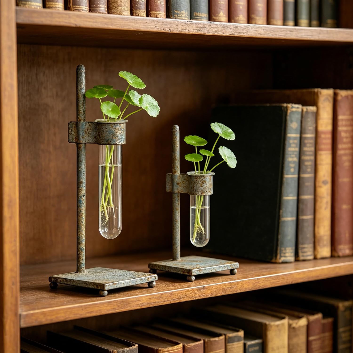 Retro Test Tube Vase Set of 2, Rustic Metal Plant Propagation Station with Clear Glass Tubes, Hydroponic Planter for