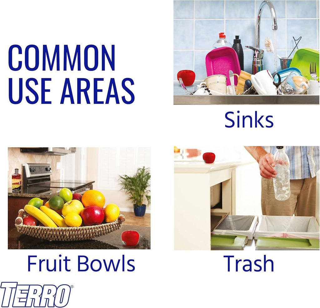 Terro Fruit Fly Traps for Indoors (12 Pack) + 540 Days of Lure Supply