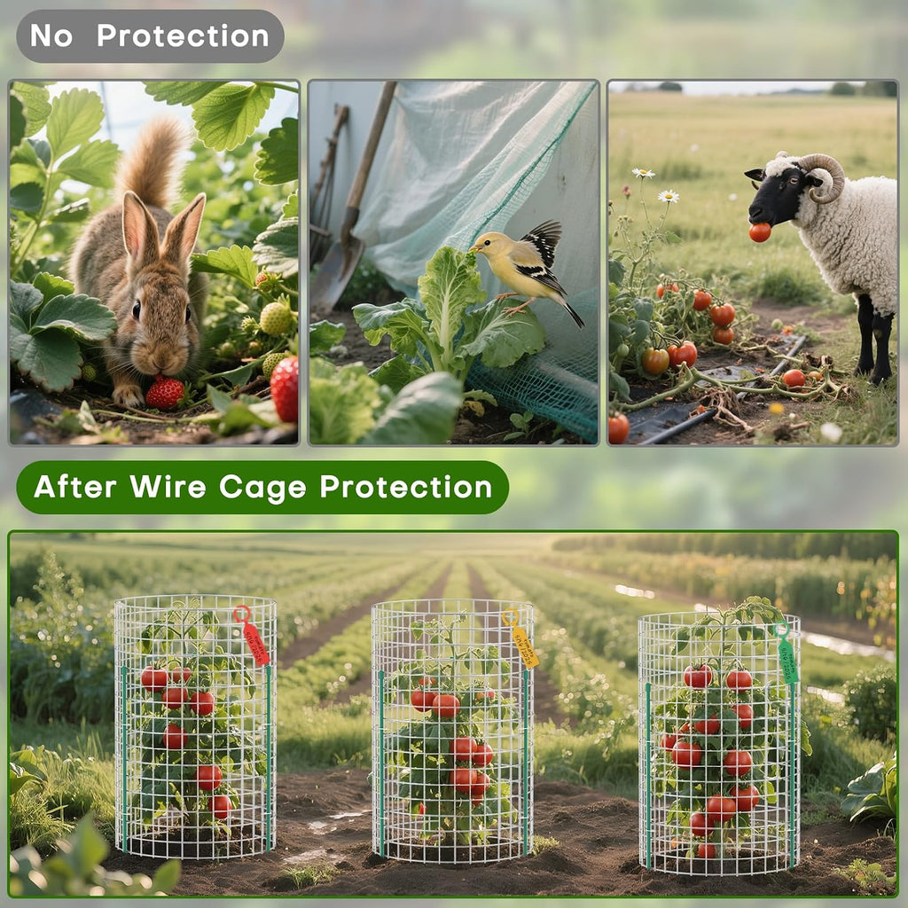 10 Set Plant Protectors from Animals, Galvanized Plant Cages for Outdoor | 12" x 16" Metal Wire , Dual-Secure with