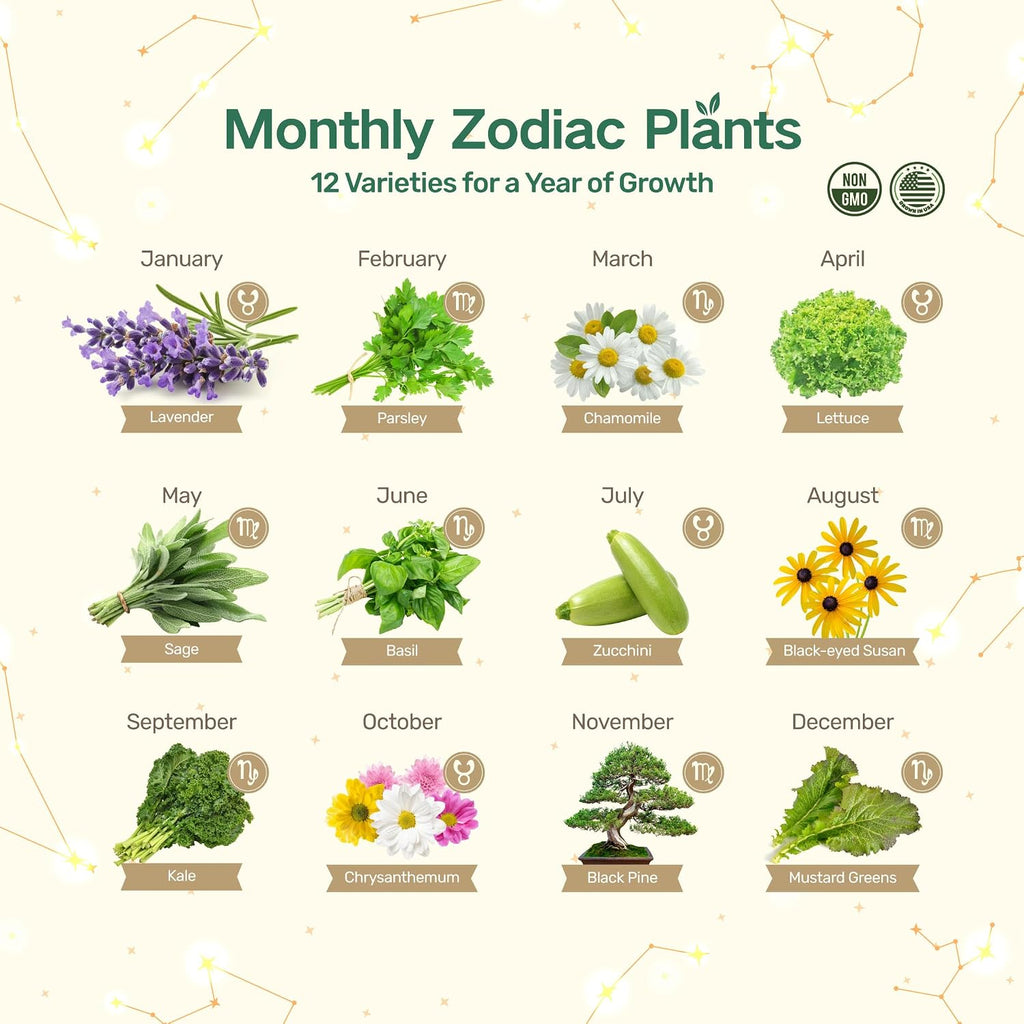 Lush&Dew Zodiac Garden Seed Bank Earth Sign, Gardening Gifts for Women Men | 12 Varieties USA-Sourced Non-GMO Heirloom