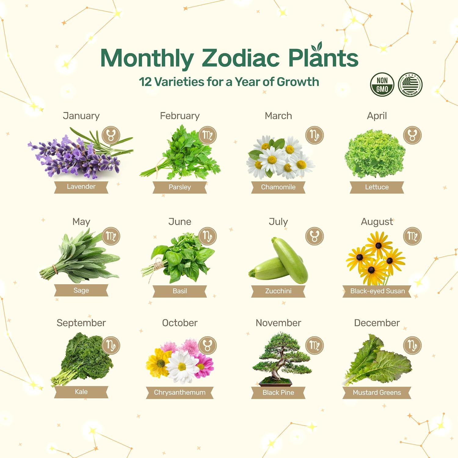 Lush&Dew Zodiac Garden Seed Bank Earth Sign, Gardening Gifts for Women Men | 12 Varieties USA-Sourced Non-GMO Heirloom