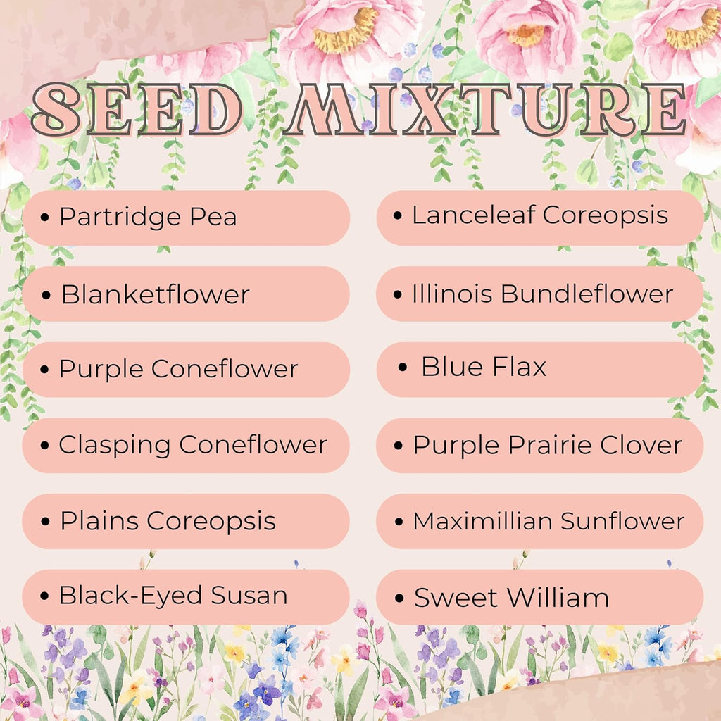 Wildflower Seeds 1/4lb Perennial - 100% Pure Organic Non-GMO Seed Mix - 12 Hardy Varieties for Pollinators, Bees &