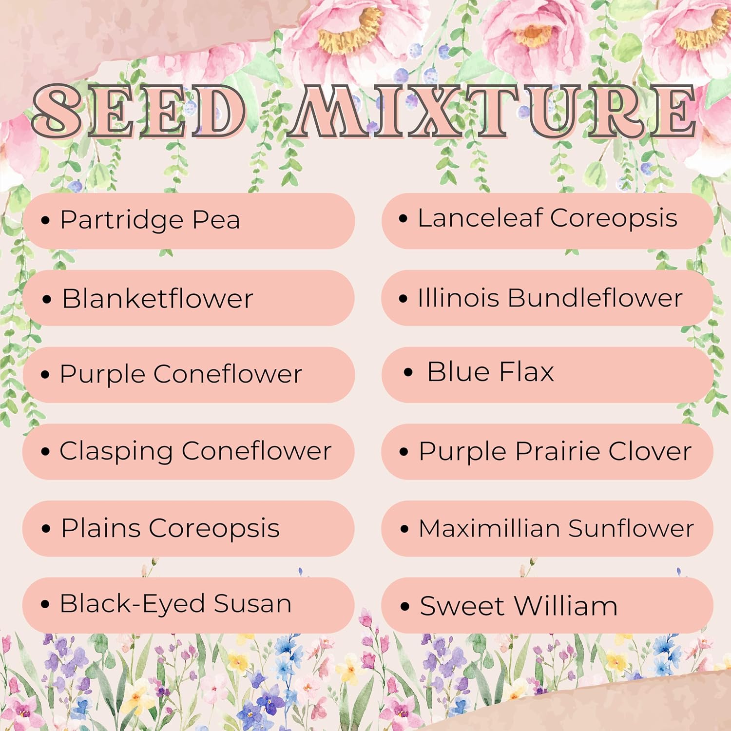 Wildflower Seeds 1/4lb Perennial - 100% Pure Organic Non-GMO Seed Mix - 12 Hardy Varieties for Pollinators, Bees &