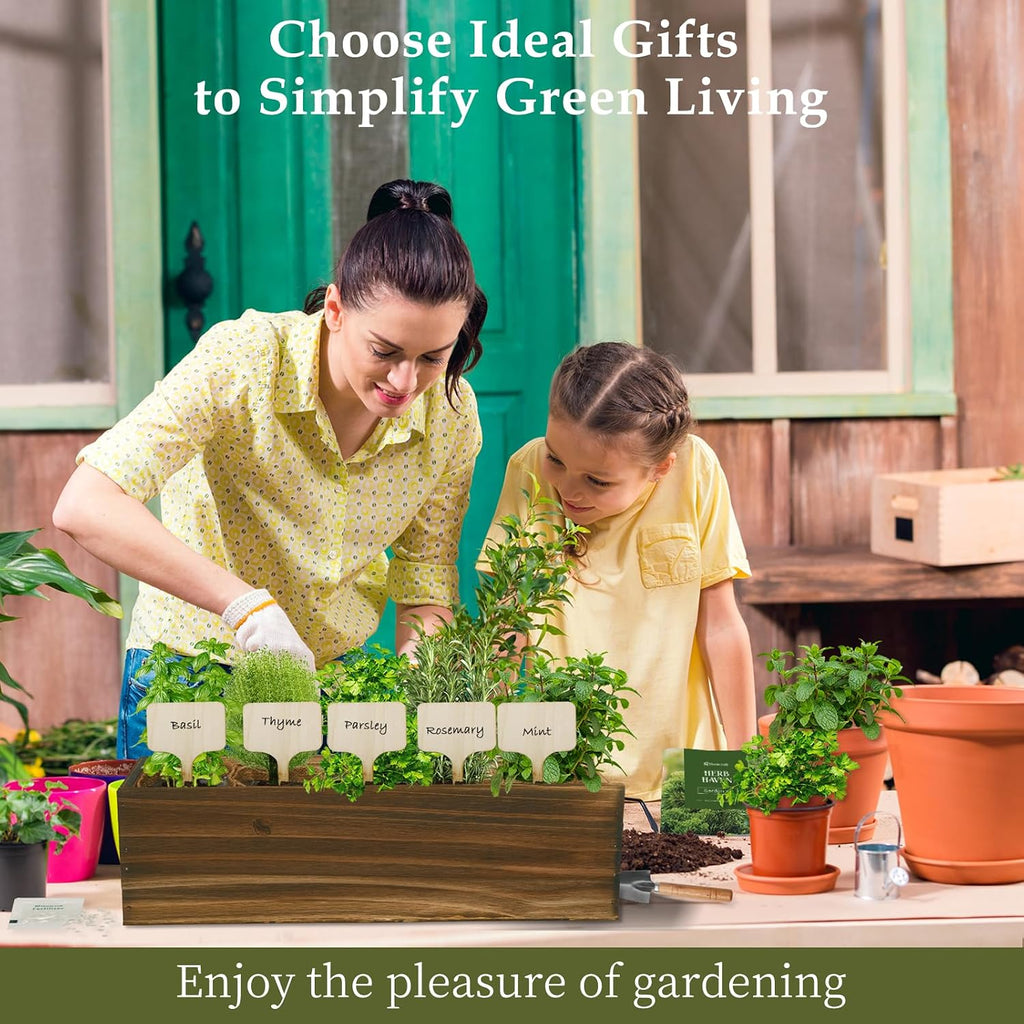5 Herb Garden Planter Indoor with Wooden Box, Home Kitchen Seed Starter Kit Including Basil, Thyme, Parsley, Rosemary