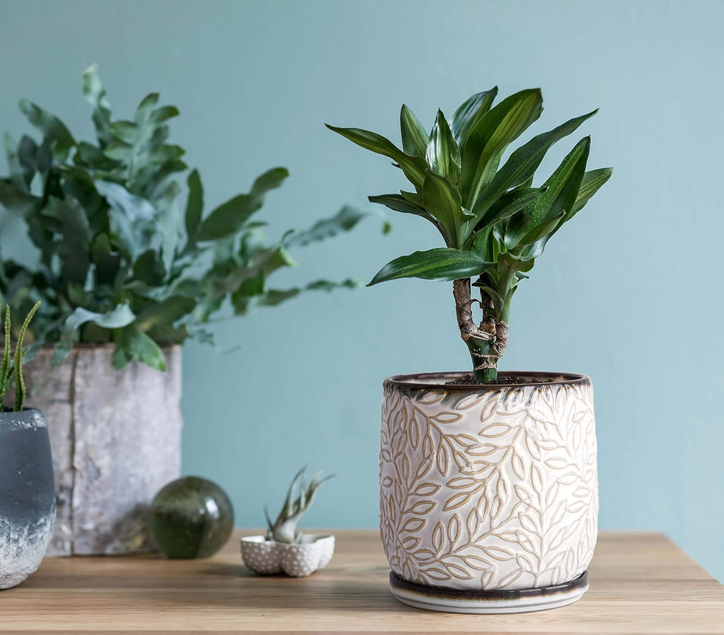 D'vine Dev Embossed Leaves Ceramic Planter, 5 in, Smoked White, 27-A-V-1 | Nature-Inspired Leaf Pattern, Handcrafted