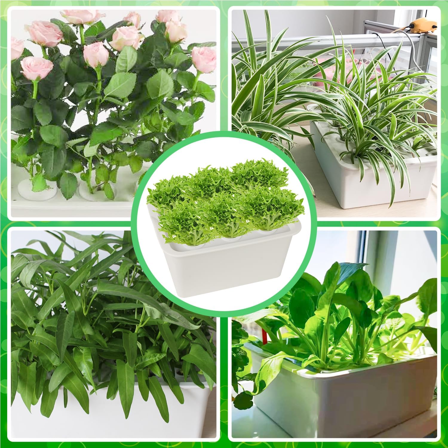 Hydroponics Grower Kit DIY Self Watering Indoor Hydroponics Tools Hydroponic System Planting Container Include Aquarium