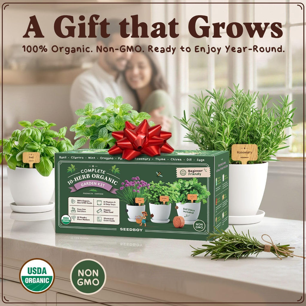 Organic Non-GMO Herb Seeds for Planting (Herb Garden Starter Kit) | For Indoor or Outdoor Growing; USDA Certified