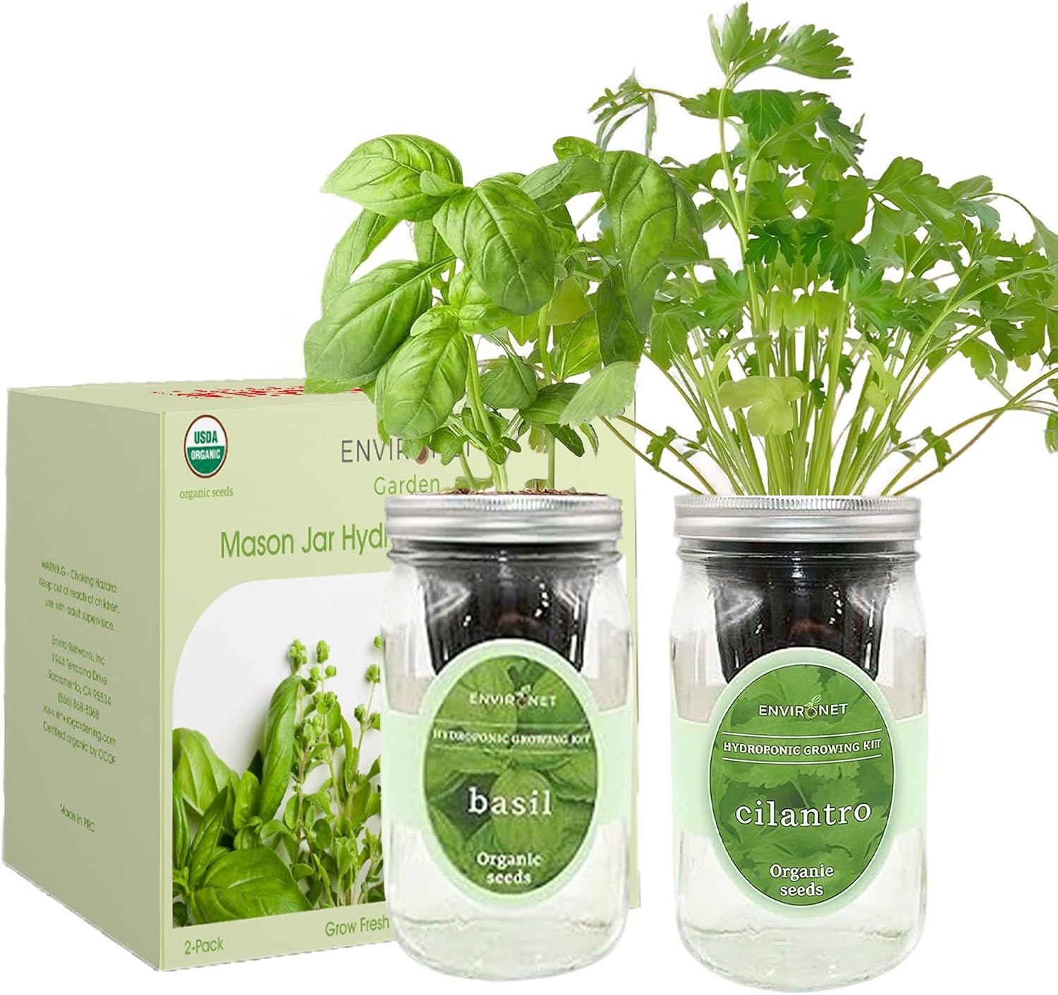 2-Pack Hydroponic Mason Jar Herb Garden Kit, Indoor Herb Garden Self-Watering Starter Kit (Basil,Cilantro)