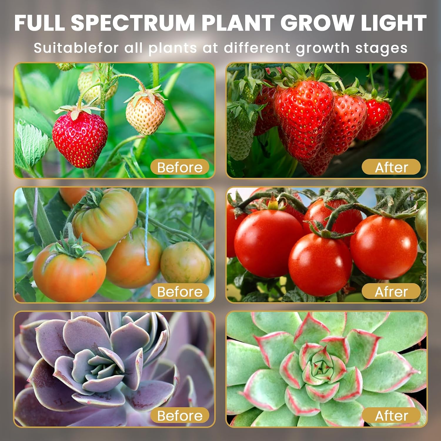 Bseah Grow Light for Indoor Plants, Full Spectrum Plant Grow Lamp with 3/9/12H Timer, ON & Off, Clip-On Desk for Seed