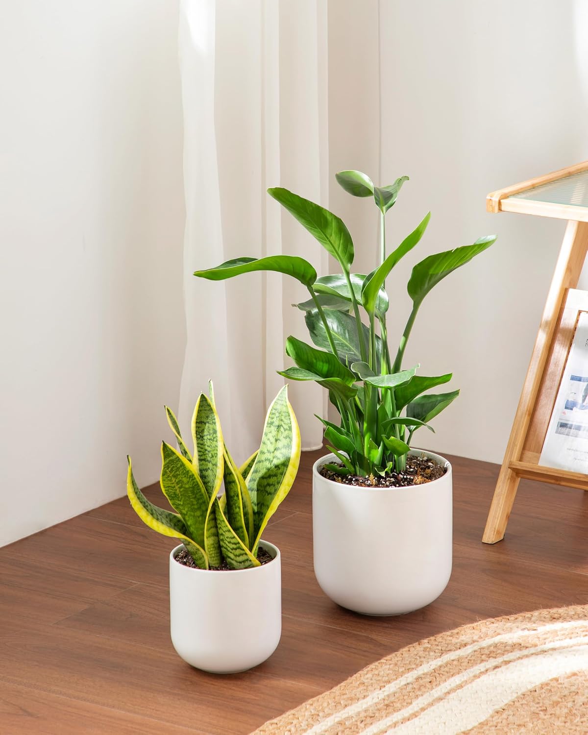 vancasso 6 Inch Ceramic Plant Pots, Planters with Drainage Hole, Flower Pots Planters Pots for Indoor Plants, Modern