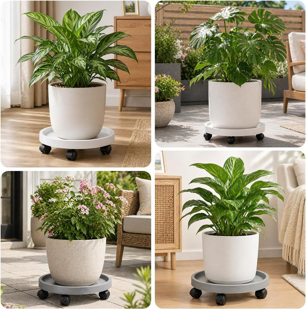 5 Pack Plant Caddy with Wheels Rolling Plant Stand with Wheels 10 Inch Plant Dolly Heavy Duty Large Potted Plant Mover